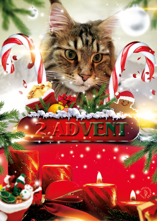 2014-yazoo-2-Advent-st