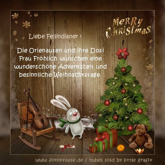 fellindianer-Orienauten-Weihnachten-2014