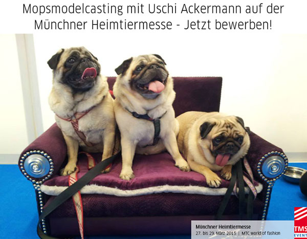 mops-messe